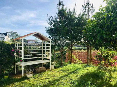 Bán NGỘP CĂN NHÀ có vườn hoa hồng sân vườn đường xe hơi