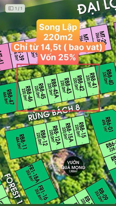 BT Rừng Bách 10x22 chiết khấu dòng tiền 10%. Hỗ trợ vay lãi 0% trong 24t. Quà tặng 100tr + 0,5%