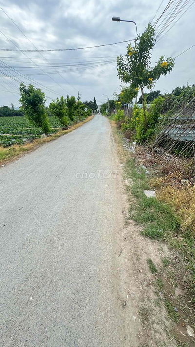 Xây Biệt Thự Sân Vườn – 8x35m Full Thổ, Gần Chợ!