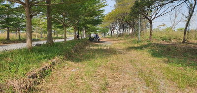 Bán nền Daresco Đức Hòa giá ngộp. Chính chủ