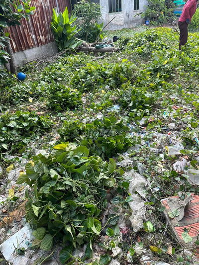 cần bán đất nền thổ cư giá tốt chính chủ