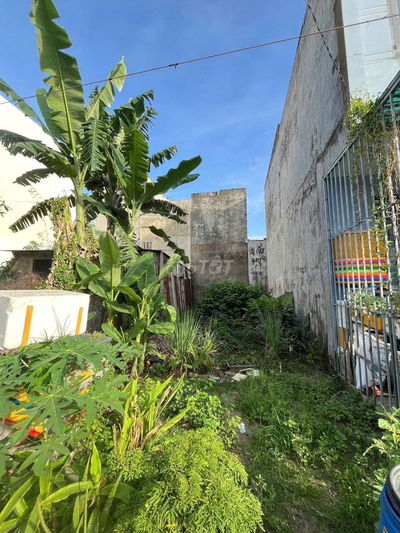 Bán đất bình thắng dĩ an gần làng đại học