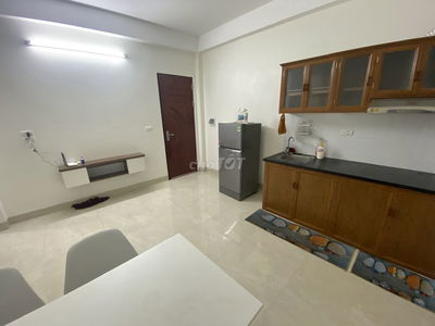 Cho thuê căn hộ CCMN 40m2 full nội thát Tây Nam Linh Đàm