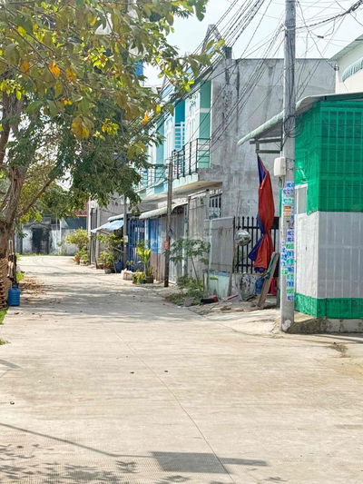 mat tien be tong 1 set giong lon my hanh nam