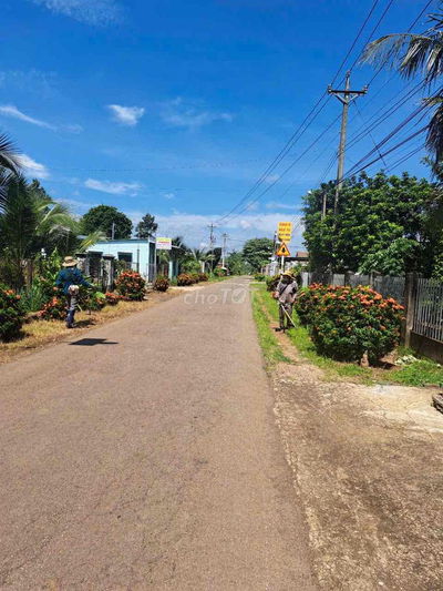 đất Thổ Cư Mặt tiền Nhựa giáp ranh Long Khánh