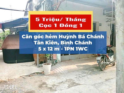 🔥CHO THUÊ NHÀ CĂN GÓC (sân vườn thoáng mát) ngay phân bón đầu trâu (Đư