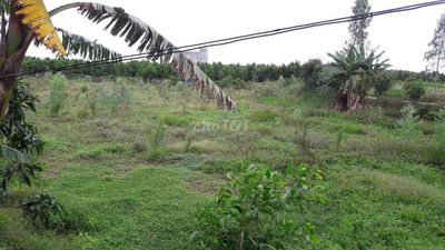 BÁN NỀN THỔ CƯ MẶT TIỀN ĐƯỜNG NHỰA CHO TRẢ GÓP