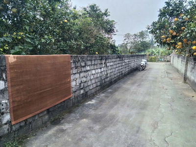 Bán 571,9m² Đông Hạ – Đông Yên, có đất ở + đất vườn, giá mềm