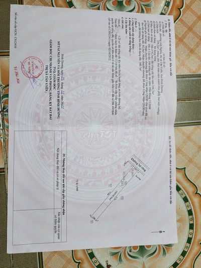 Chính chủ cần bán gấp nhà cấp bốn giá rẻ