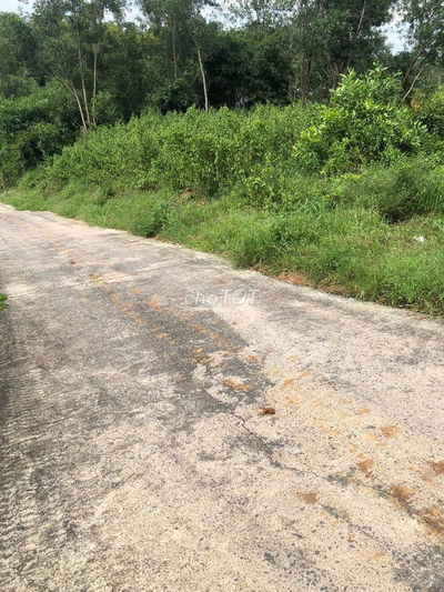 CHÍNH CHỦ BÁN ĐẤT LONG TÂN - NHƠN TRẠCH