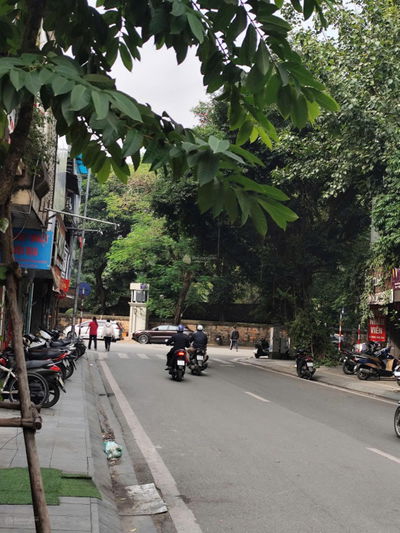 Chính chủ Bán Nhà Mặt Phố  135m2 vị trí đẹp đường Nguyễn Khuyến, Văn Miếu, Đống Đa, kinh doanh đỉnh