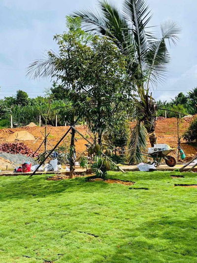 BÁN LÔ ĐẤT MẶT TIỀN TRẦN ĐẠI NGHĨA, PHƯỜNG LÂM VIÊN - ĐÀ LẠT