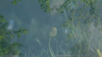 Đừng bỏ lỡ cơ hội sở hữu căn hộ hạng sang MIK Vin 2 cho giới trẻ VỐN chỉ từ 200 triệu - 400 triệu