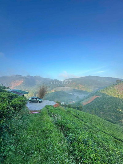 Bán Vườn Chè Hẻm Mai Thúc Loan Phường 3 Bảo Lộc Đường oto tận nơi