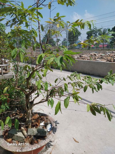 BÁN NHÀ HẺM XE HƠI ĐƯỜNG TÂN LIÊM