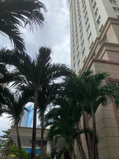 Cần cho thuê căn hộ studio 1 phòng ngủ The Manor