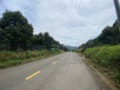 Bán đất thổ cư có cây sầu riêng  tại xã Đạ Oai, Đạ Huoai, Lâm Đồng
