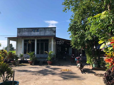 1 Mẫu đất + 400 thổ cư hẻm xe hơi 7c tận nơi