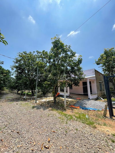 HẠ GIÁ - CẦN BÁN 7 SÀO 1 ĐẤT VƯỜN - CÓ NHÀ