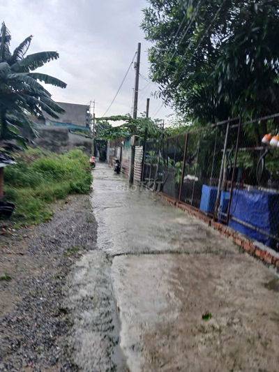 Cần bán đất phường Linh Xuân 300m2