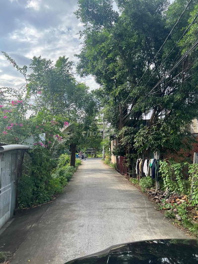 cần bán 3000m2 đất mặt tiền đường T2