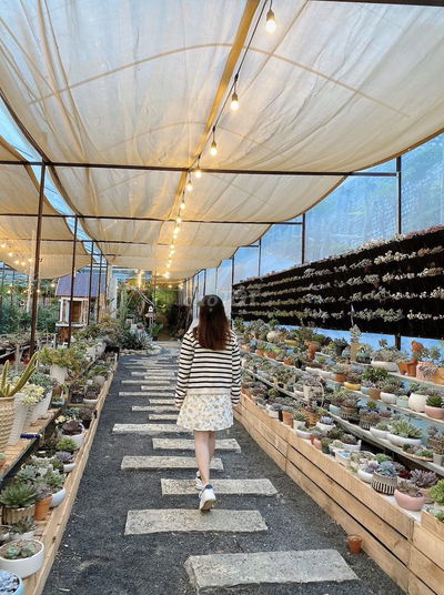 🔥 SANG GẤP QUÁN CAFE SÂN VƯỜN 1000M² - VỊ TRÍ TRUNG TÂM ĐÀ LẠT