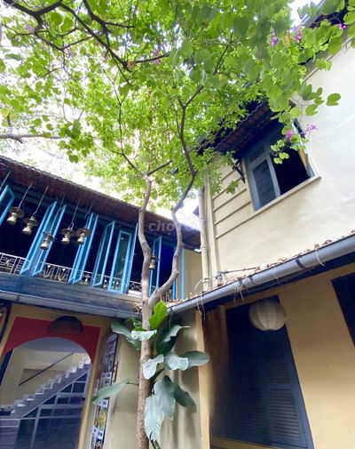 BIỆT THỰ SÂN VƯỜN HIẾM VÕ VĂN TẦN, QUẬN 3, 2 TẦNG >350M2, GIÁ 53TRIỆU