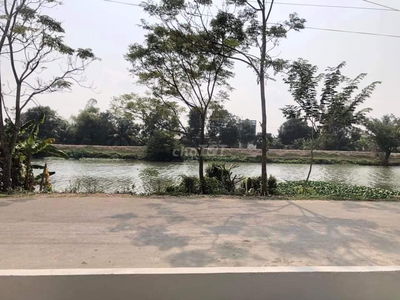 Bán 2750m2 đất mặt sông Vàm Cỏ Tây, Thạnh Hoá, Long An, đường nhựa ôtô