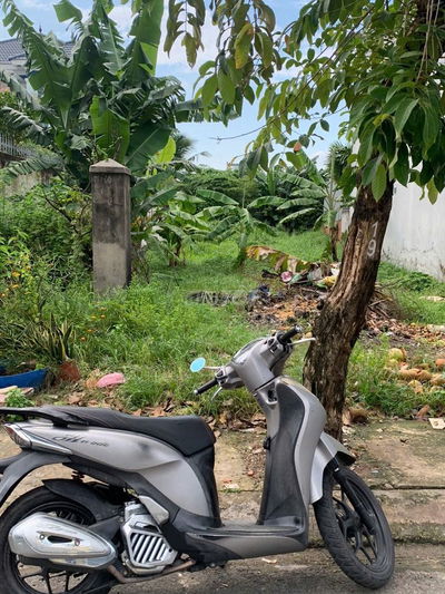 Đất thổ cư DT 10m*45m, mặt tiền nhựa 12m, gần chợ Đại Hải - Hóc Môn