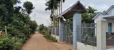 Ea Tiêu giá này k còn nữa đâu ạ Đường nhựa chỉ 299tr trước mua 550tr