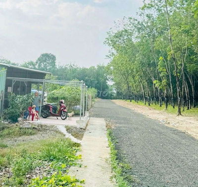 Bán ngộp đất sào 3307m² ở An Bình sát đườg tạo lực và Visip4 giá 995tr