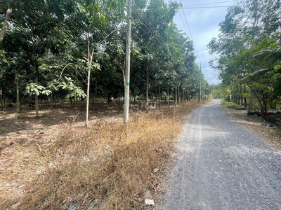 CHỈ 112 TR / M ĐẤT HẬU DÀI 200 M, TRONG KHU DÂN CƯ, CẠNH KCN THẠNH ĐỨC