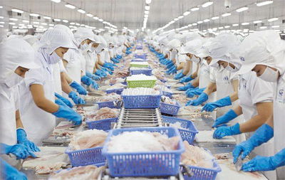 Bán nhà máy chế biến thuỷ hải sản tại Tiền Giang, tiêu chuẩn xuất khẩu