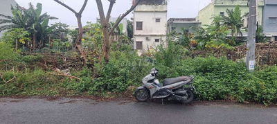 Đất biển đông hải đường LÊ NHƯ HỔ