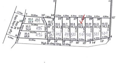 Tràng Duệ giá rẻ