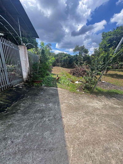 115m2 Thổ Cư Sổ Riêng Phường Bảo Vinh ( cũ) Ngã 3 Ông Phúc