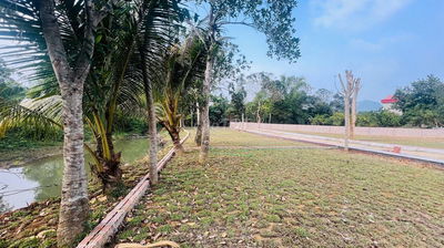 Đất Nghỉ Dưỡng Bám Suối-Gần Serena,Đón Sóng SunGroup Kim Bôi, Hoà Bình