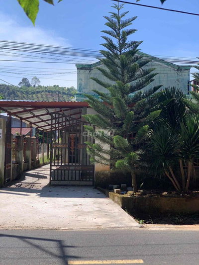 Chính chủ cho thuê nhà đất 400m2 ở Madagui Lâm Đồng