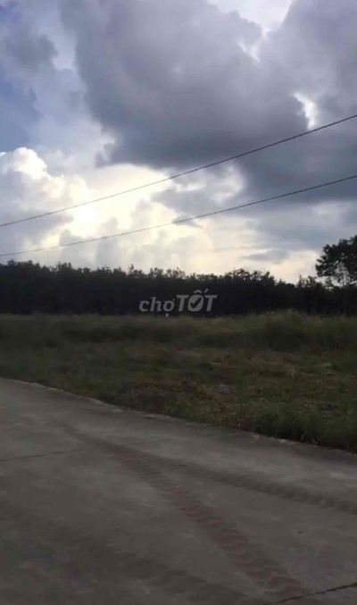 Chủ kẹt tiền bán nhanh lô đất 279m2/470tr gần KCN Bàu Bàng, sổ sẵn