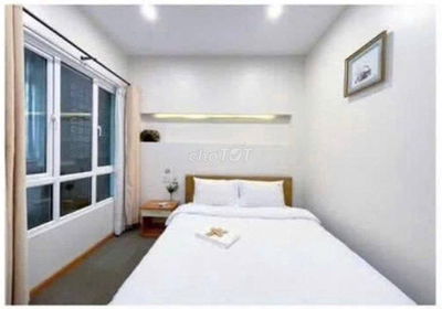 Cho thuê homestay 7 phòng - phường 8 đà lạt giá 20 triệu/tháng