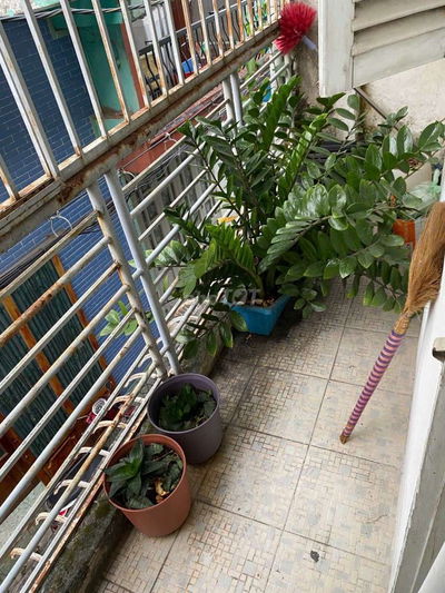 Cho thuê nhà riêng một phòng ngủ 2 WC