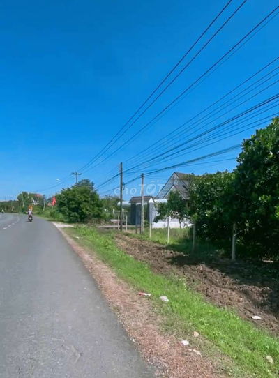 Bán vườn mít mặt tiền nhựa 32m diện tích 500m2