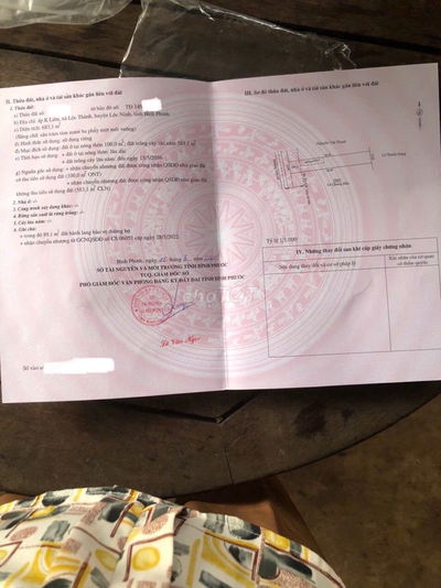 Chính chủ bán lô đất biệt thự sổ hồng - thổ cư ,mặt tiền đường nhựa