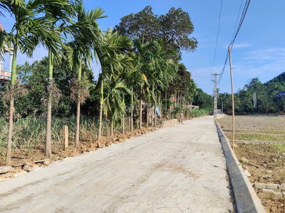 Đất thổ cư Thạch Thành siêu rẻ