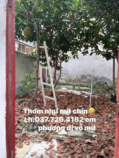 CAM KẾT RẺ NHẤT KHU VỰC-KO CÒN LÔ THỨ 2-DT:55m2-TÂY THẠNH -TÂN PHÚ