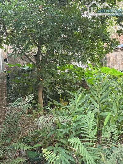 DUY NHẤT 1 MẢNH HÀNG F0 THẠCH BÀN 75M-ĐẤT - TIỀN HẬU 5M. 17TỶ Ô TÔ TRÁNH KINH DOANH THÔNG