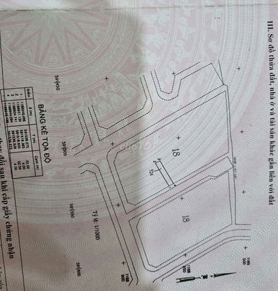 Cần bán gấp nền đất khu dân cư sát chợ đêm Bà Hom