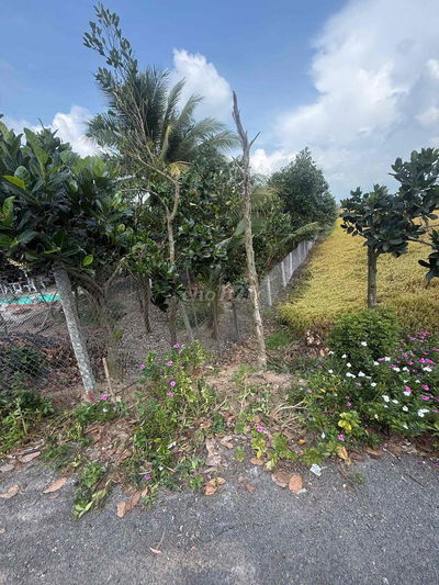 Nền giá rẻ gần chợ Gáo Giồng, đường nhựa 5m