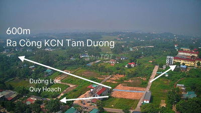F0 Đất Hướng Đạo KCN Tam Dương Gần Trường Học,Đường nhựa va thổ cư lớn