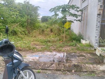 Bán đất full thổ Củ Chi